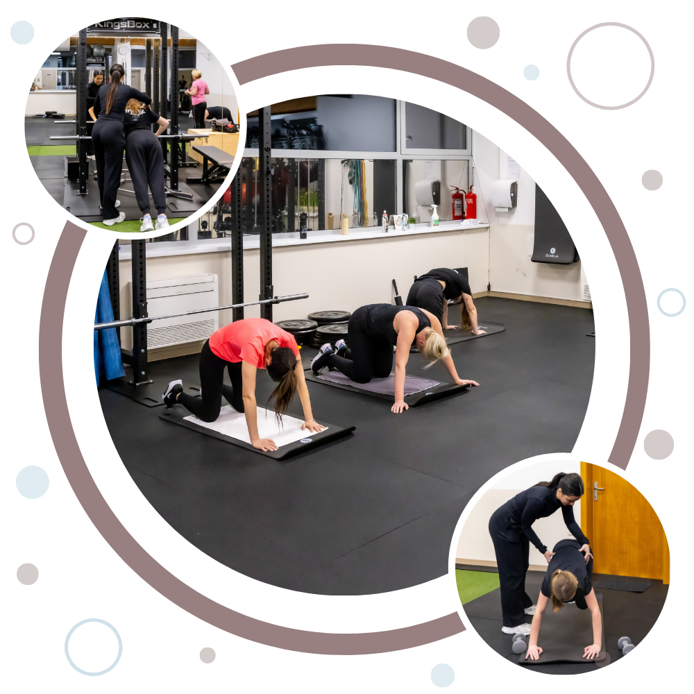 Celostna kineziološka vadba